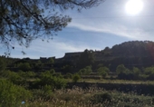 Chalet independiente con terreno en venta en la España, Vilalba dels Arcs, ref: TR303630 foto