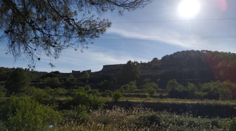 Tarragona - Vilalba dels Arcs - 81994m2