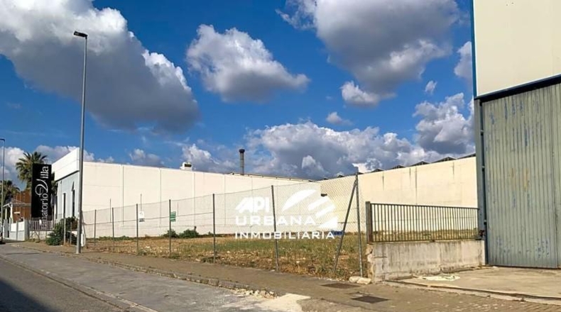 Córdoba - Lucena - 1147m2