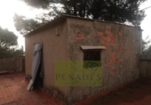 Xalet independent amb terreny en venda a la España, Ontinyent, ref.: TR290796 foto