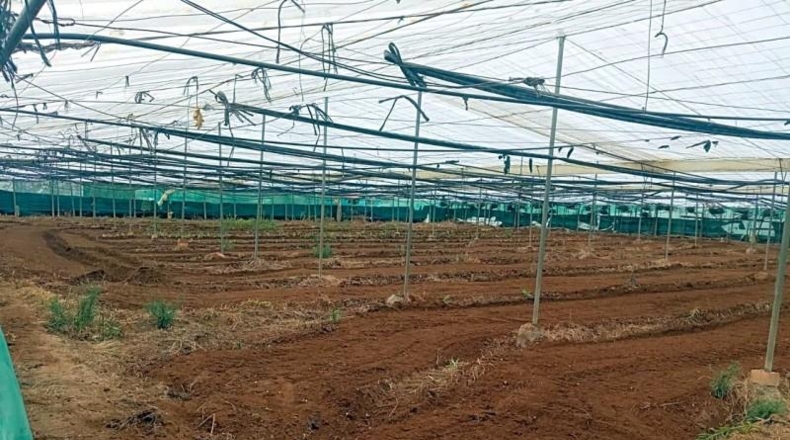 Cádiz - Chipiona - 4372m2