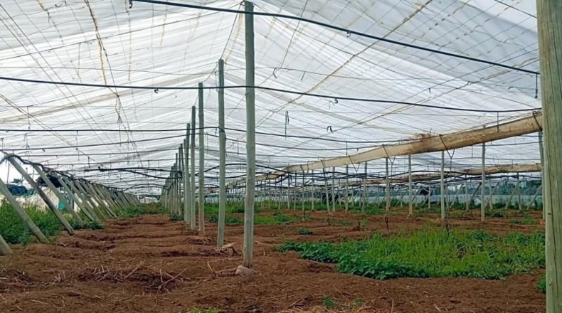 Cádiz - Chipiona - 4372m2