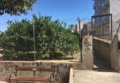 Parcel·la urbanitzable en venda a la España, Múrcia, ref.: TR328660 foto