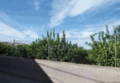 Parcel·la urbanitzable en venda a la España, Múrcia, ref.: TR328660 foto