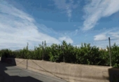 Parcel·la urbanitzable en venda a la España, Múrcia, ref.: TR328660 foto