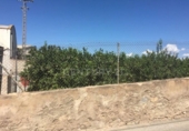 Parcel·la urbanitzable en venda a la España, Múrcia, ref.: TR328660 foto