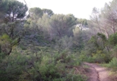 Sòl urbà en venda a la España, Encinarejo de Córdoba, ref.: TR219000 foto