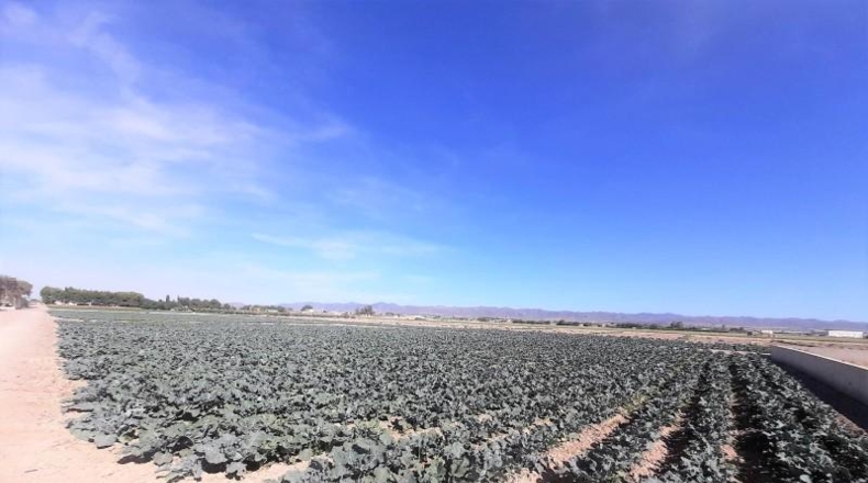Múrcia - Lorca - 5062m2