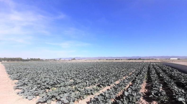 Múrcia - Lorca - 5062m2