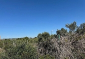 Terreny no urbanitzable en venda a la España, el Vendrell, ref.: TR341471 foto