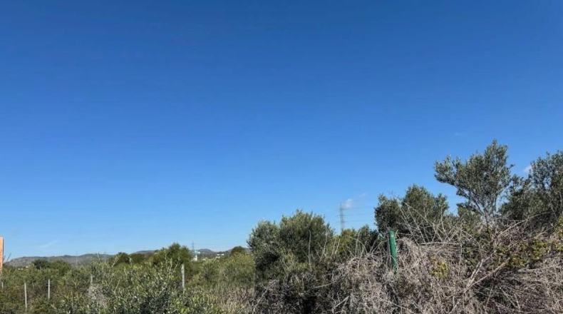 Tarragona - el Vendrell - 9565m2