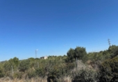 Terreny no urbanitzable en venda a la España, el Vendrell, ref.: TR341471 foto