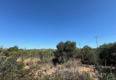 Terreny no urbanitzable en venda a la España, el Vendrell, ref.: TR341471 foto