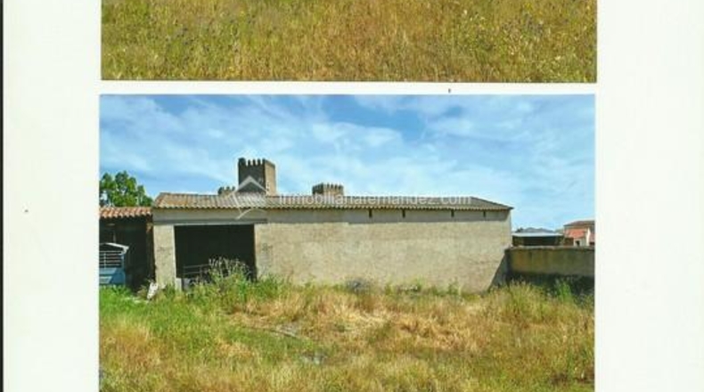 Cáceres - Monroy - 8100m2