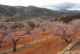 la Serra d'en Galceran 166&nbsp;m² 