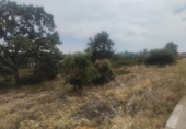 Parcela urbanizable en venta en la España, Garrafe de Torío, ref: TR124217 foto
