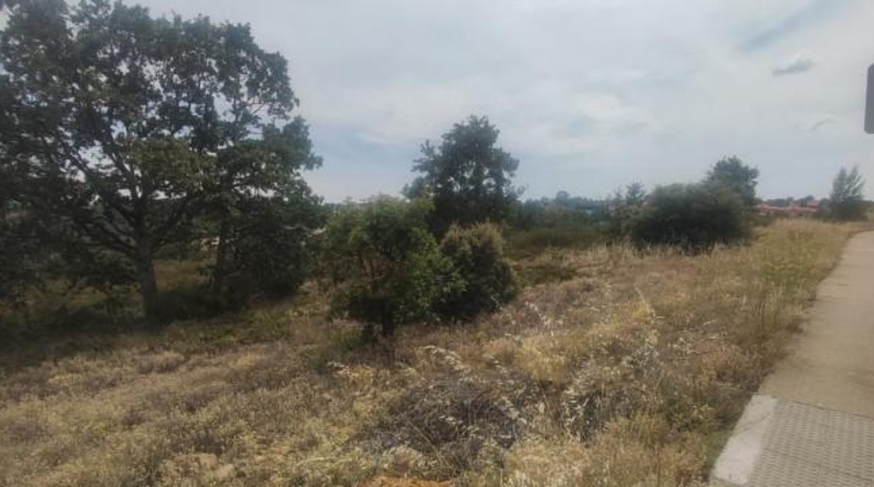 Leon - Garrafe de Torío - 3051m2