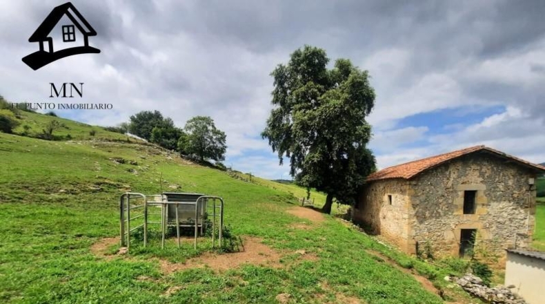 Cantabria - Villafufre - 14818m2