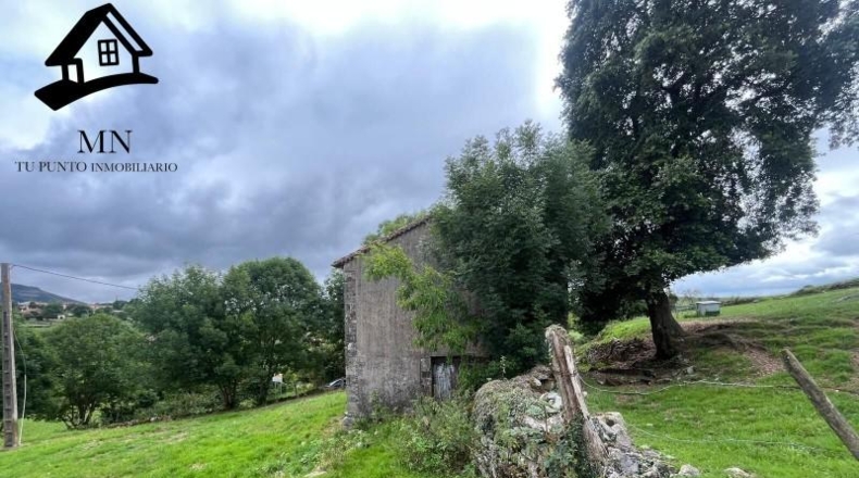 Cantabria - Villafufre - 14818m2
