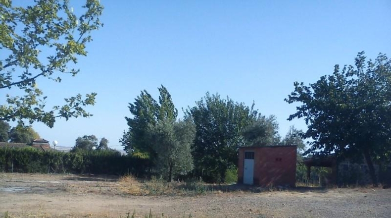 Córdoba - Córdoba - 1250m2