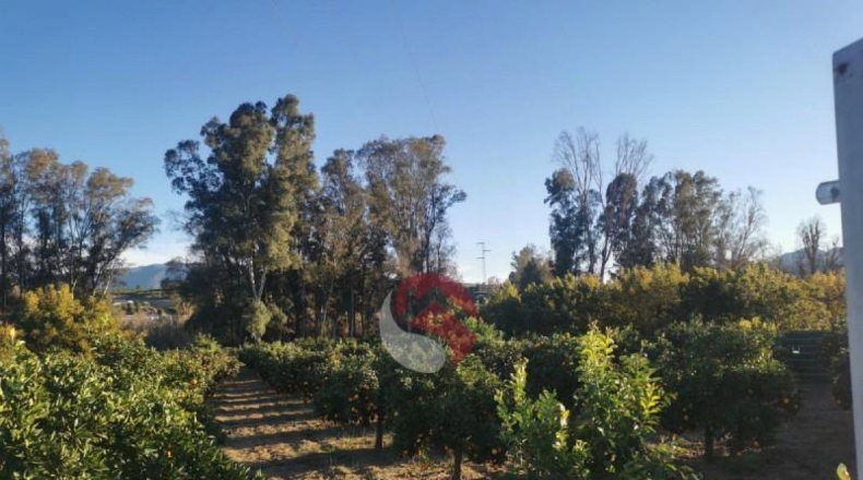 Málaga - Cártama - 6000m2