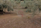 Terreny no urbanitzable en venda a la España, Coín, ref.: TR243839 foto
