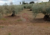 Terreny no urbanitzable en venda a la España, Coín, ref.: TR243839 foto