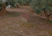 Terreny no urbanitzable en venda a la España, Coín, ref.: TR243839 foto