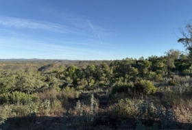 Berrocal 81410&nbsp;м²