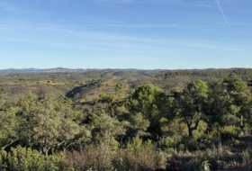 Berrocal 81410&nbsp;м²