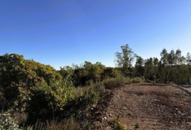 Berrocal 81410&nbsp;м²