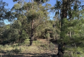 Berrocal 81410&nbsp;м²