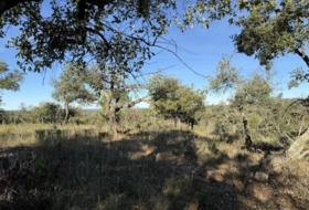 Berrocal 81410&nbsp;м²
