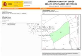 San Miguel de Abona 23894&nbsp;м²
