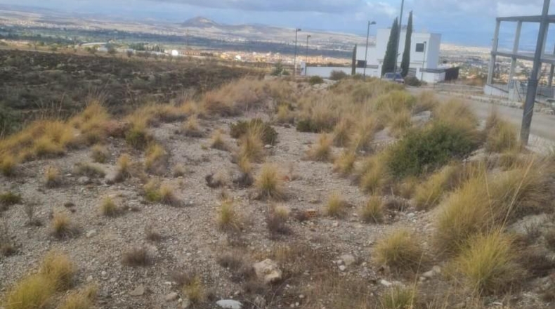 Granada - La Zubia - 850m2