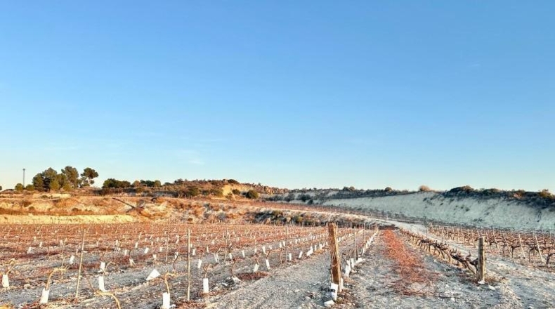 Alicante - Novelda - 75157m2