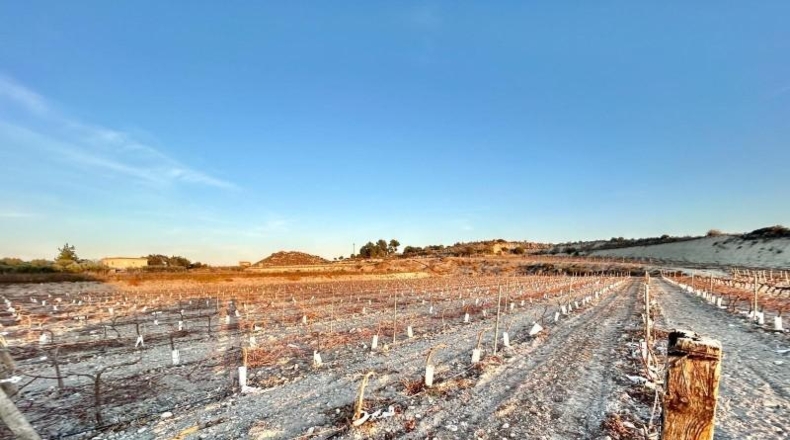 Alicante - Novelda - 75157m2