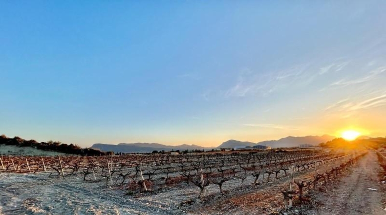 Alicante - Novelda - 75157m2