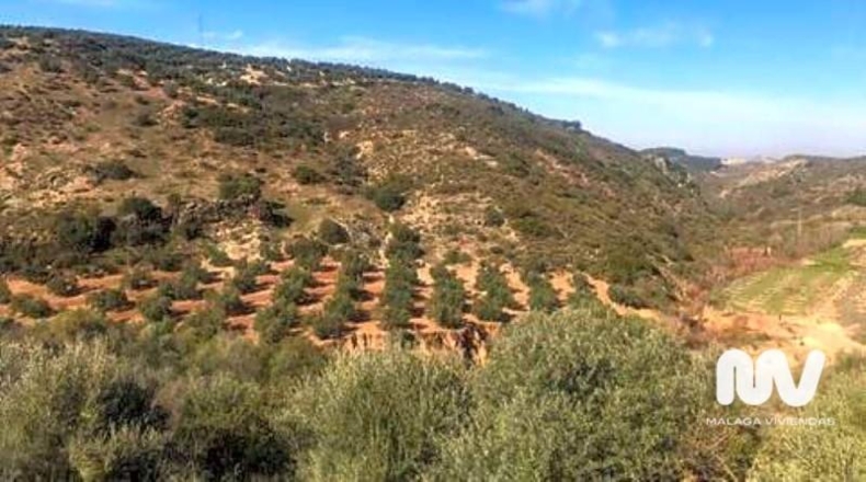 Malaga - Antequera - 23027m2