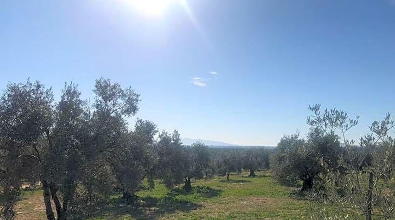 Malaga - Antequera - 23027m2