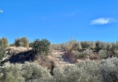 Finca rústica en venda a la España, Asp, ref.: TR304352 foto