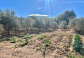 Finca rústica en venda a la España, Asp, ref.: TR304352 foto