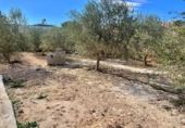 Finca rústica en venda a la España, Asp, ref.: TR304352 foto