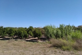 Sueca 1415&nbsp;m² 