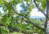 Sòl urbà en venda a la España, Esparreguera, ref.: TR124850 foto