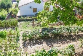 Foto 14