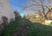 Casa de camp amb terreny en venda a la España, San Pedro del Pinatar, ref.: TR226787 foto