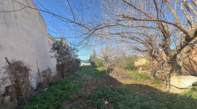 Murcia - San Pedro del Pinatar - 500m2