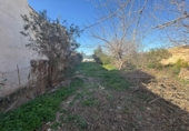 Casa de camp amb terreny en venda a la España, San Pedro del Pinatar, ref.: TR226787 foto
