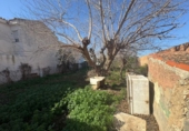 Casa de camp amb terreny en venda a la España, San Pedro del Pinatar, ref.: TR226787 foto